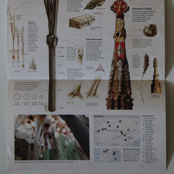 National Geographic "Barcelona's Natural Wonder" / 'Design by Nature' - Picture 6 of 6